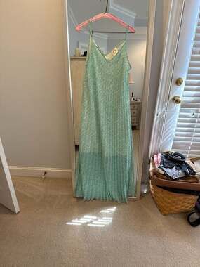 Lili Sidonio Pleated Slip Mint Green Vasa Maxi Dress (10)